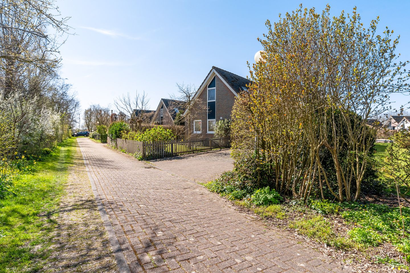 Photo 59 of Ymedaem 27