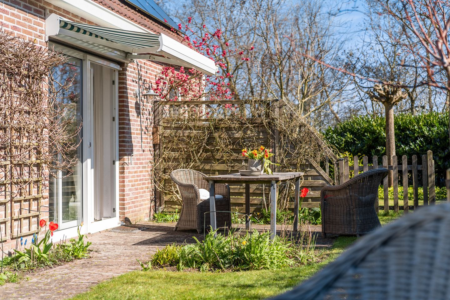 Photo 55 of Ymedaem 27