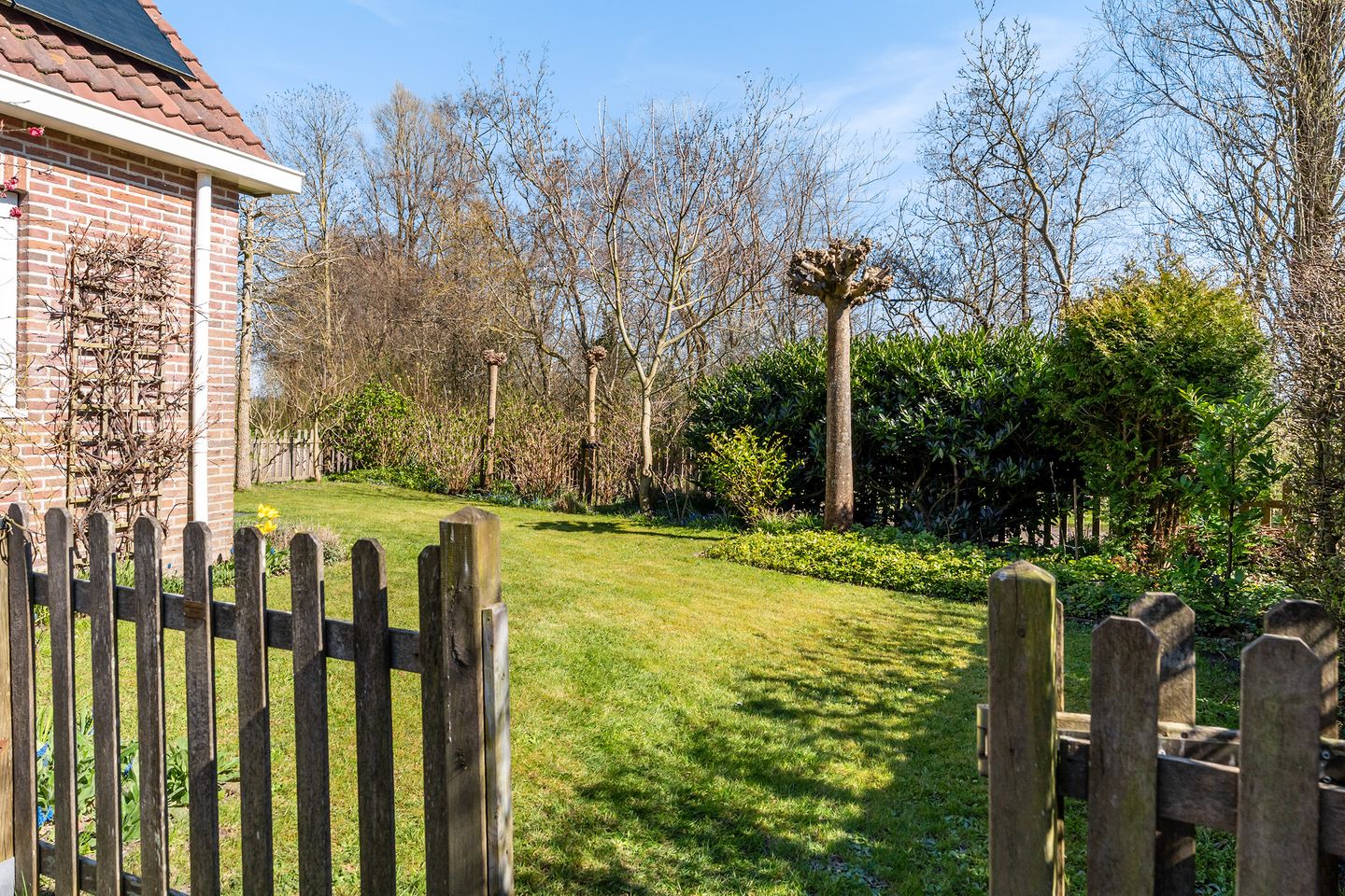 Photo 34 of Ymedaem 27