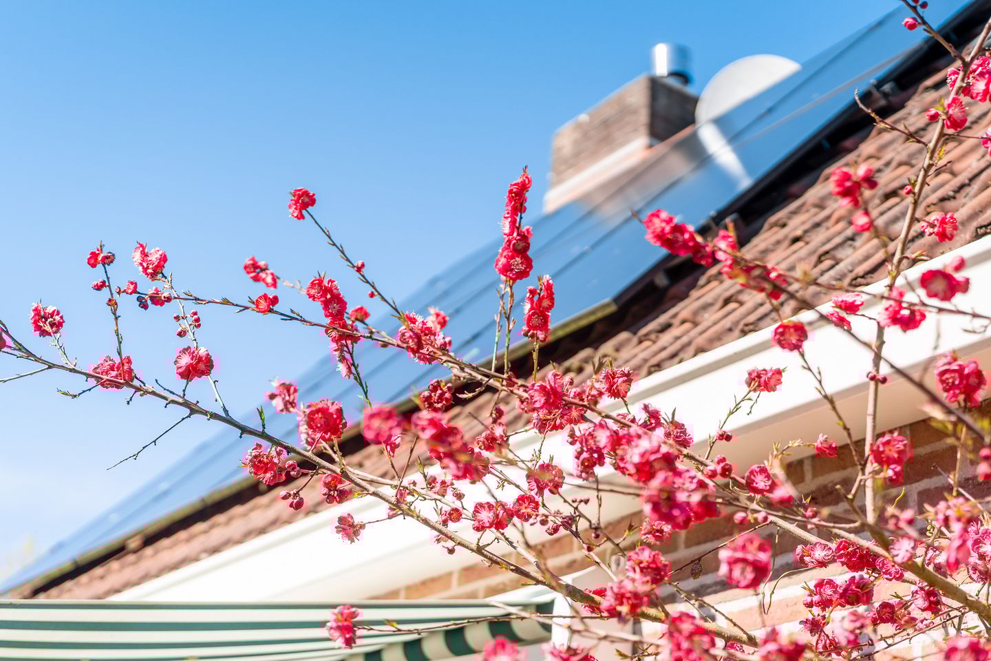 Photo 49 of Ymedaem 27