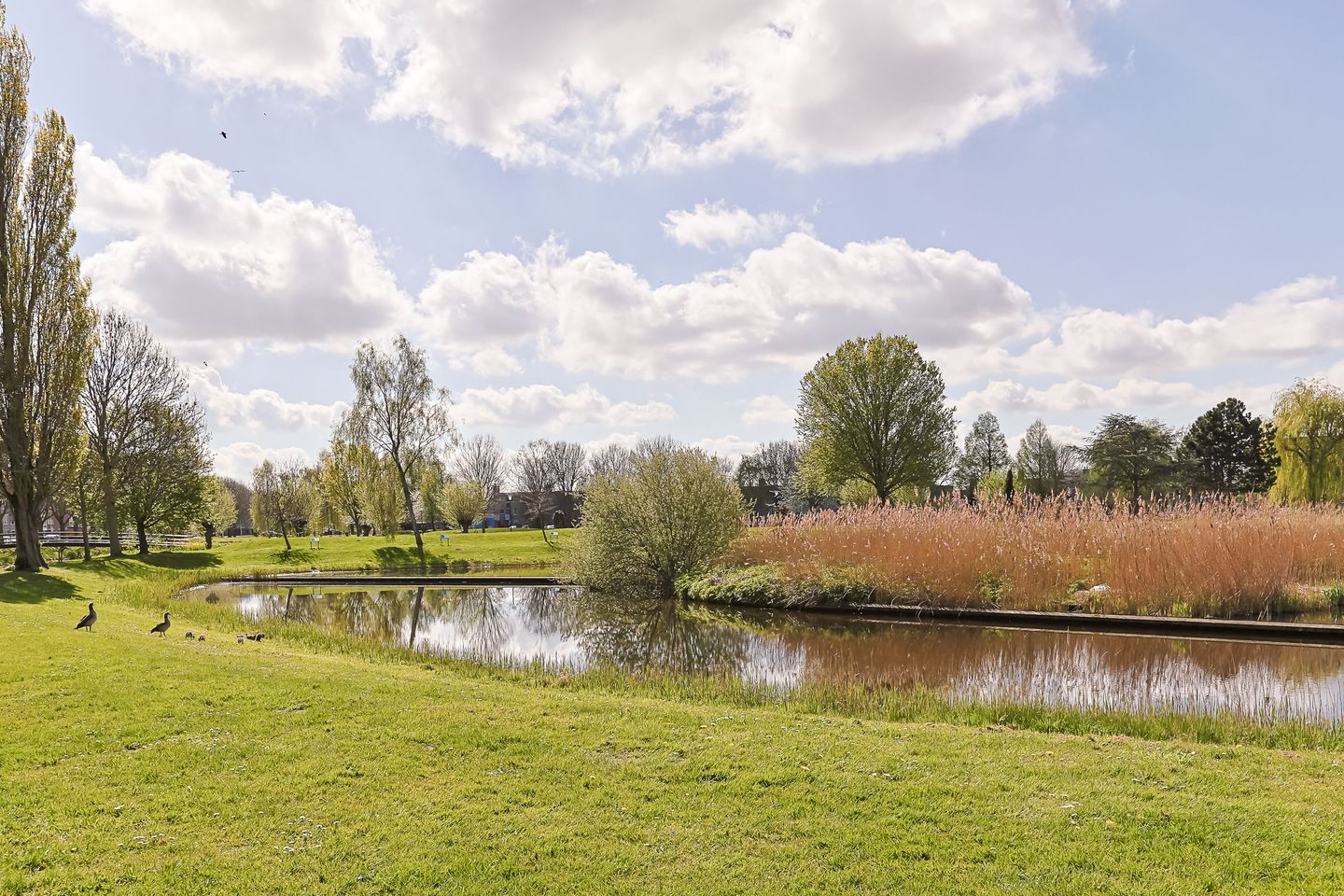 Foto 49 van Kopenhagensingel 75