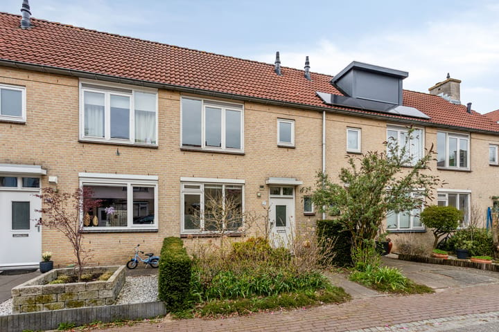 Ganzebloem 27