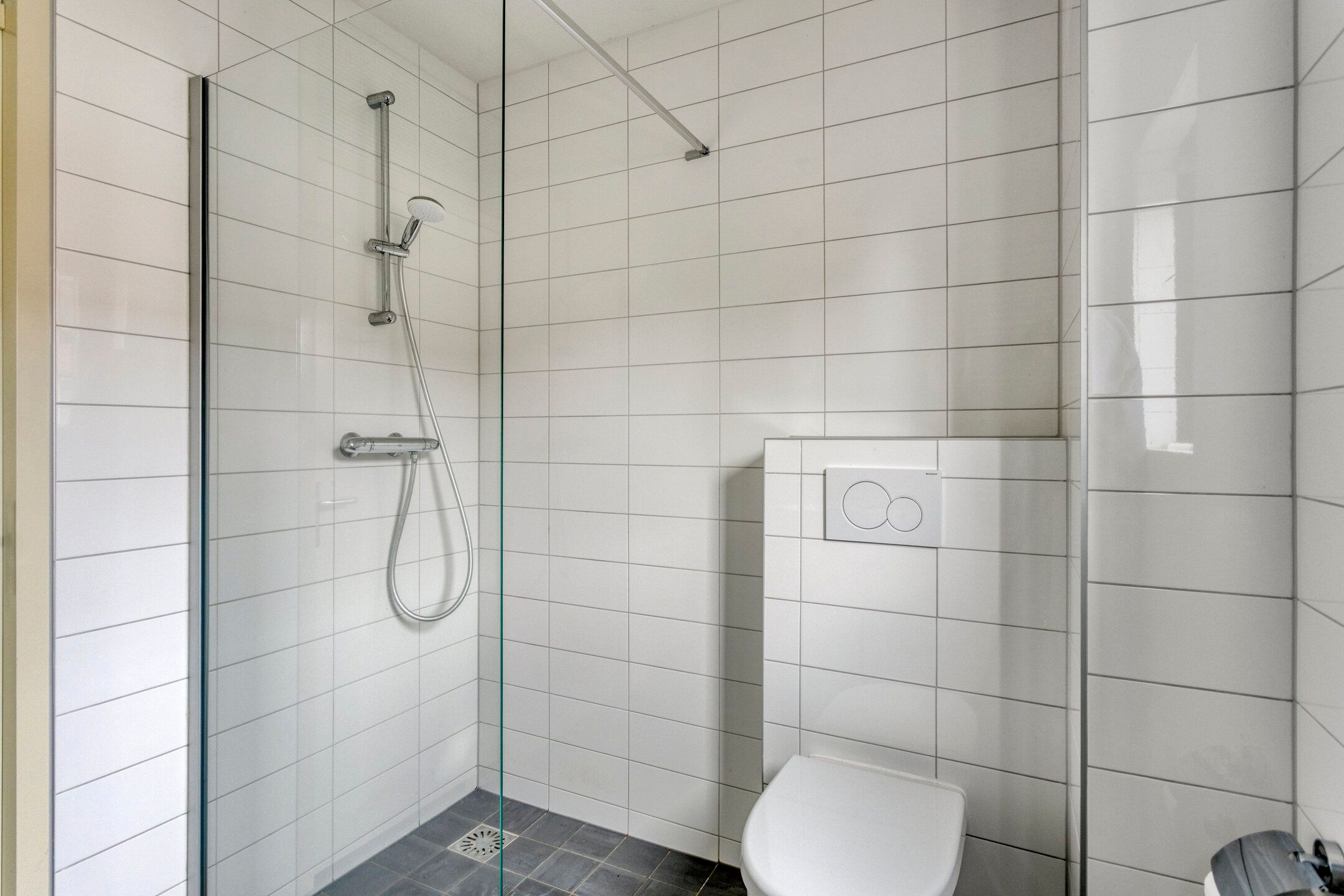 Foto 21 van Ganzebloem 27