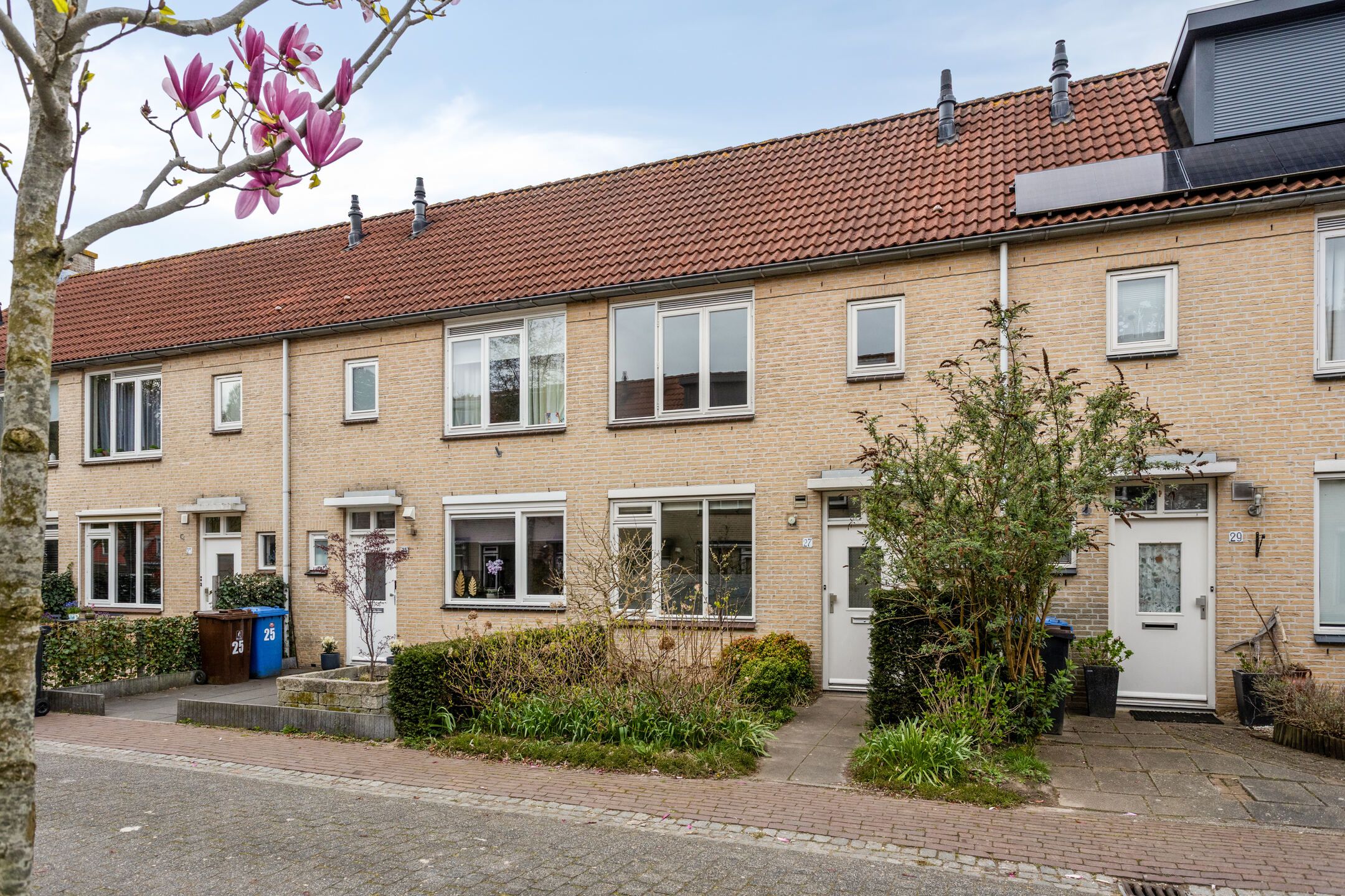 Foto 30 van Ganzebloem 27