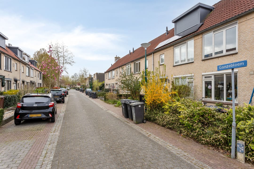 Foto 31 van Ganzebloem 27