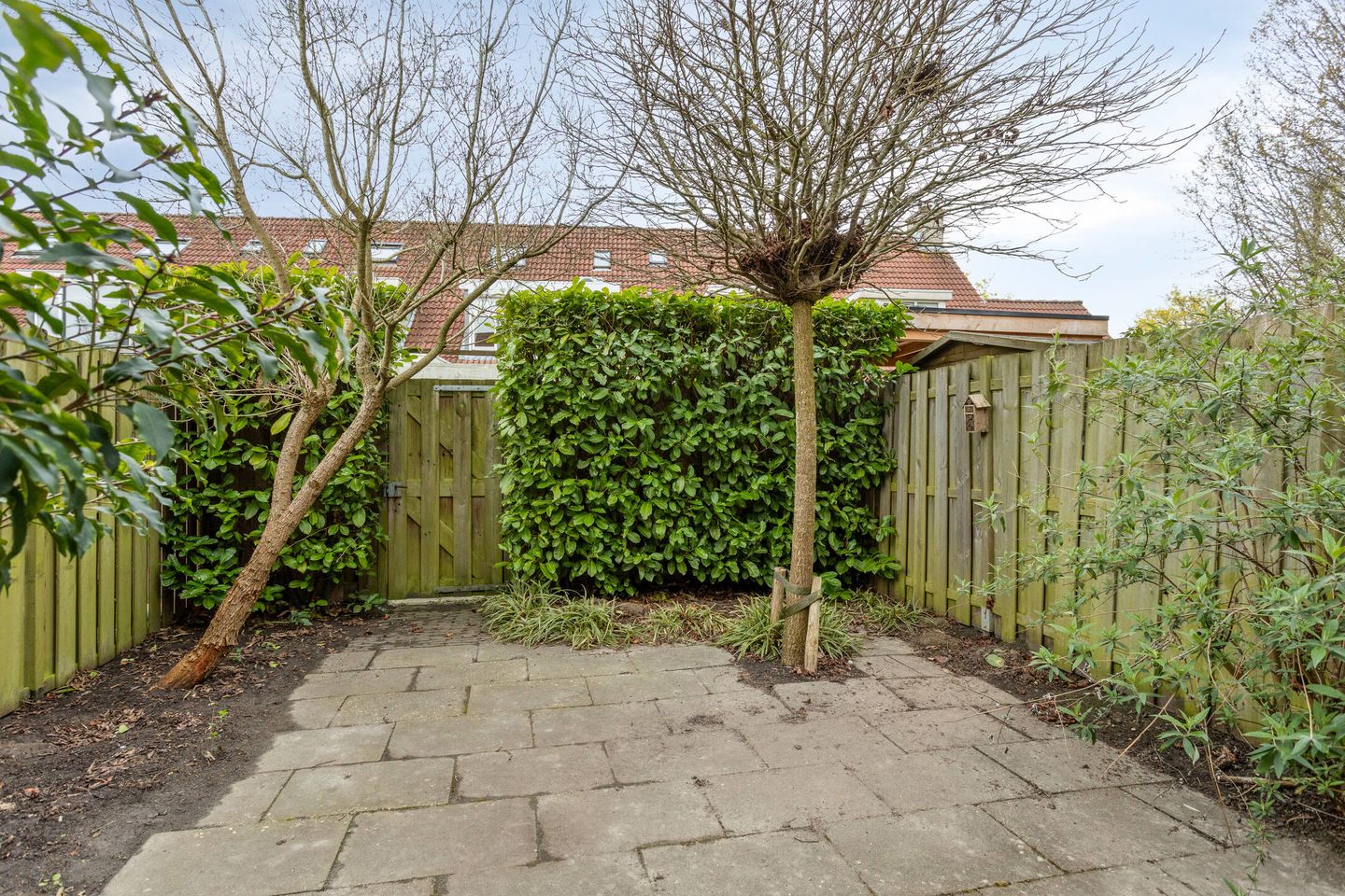 Foto 29 van Ganzebloem 27