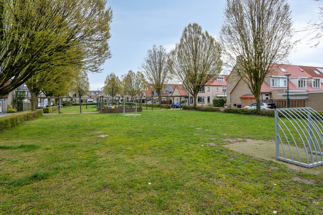 Foto 32 van Ganzebloem 27