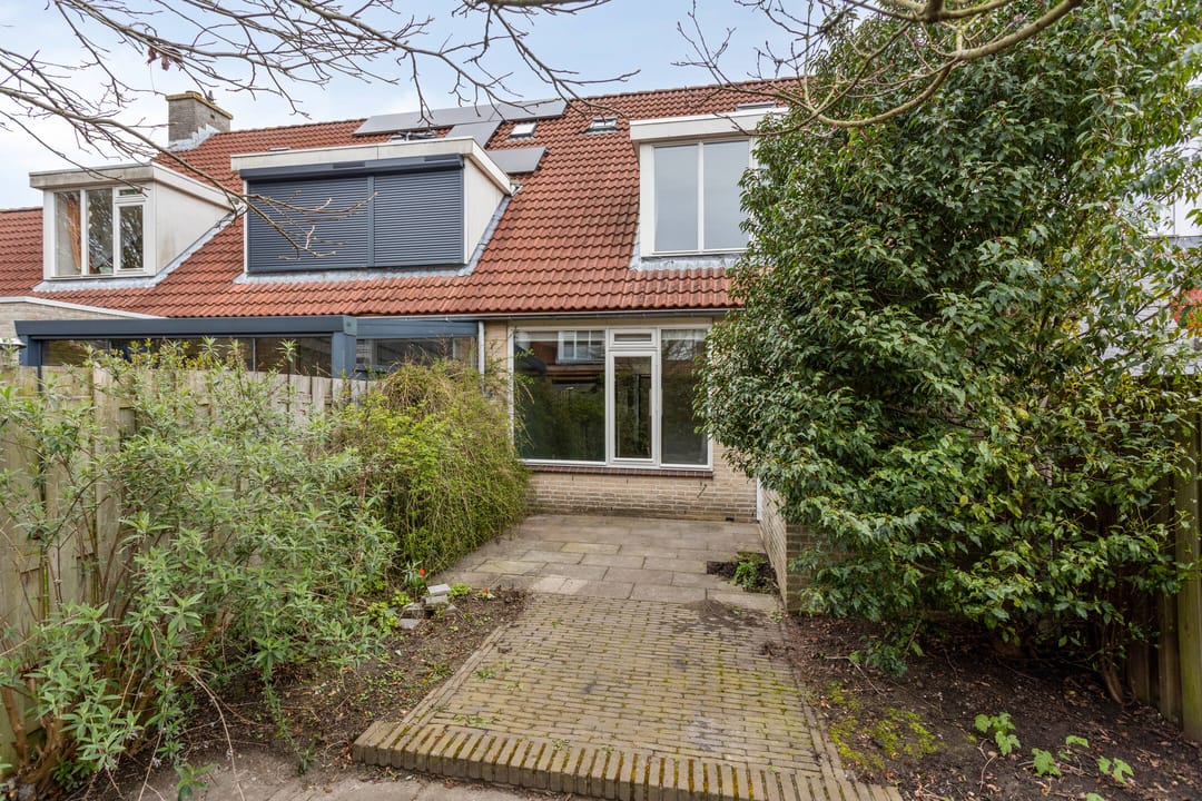 Foto 28 van Ganzebloem 27