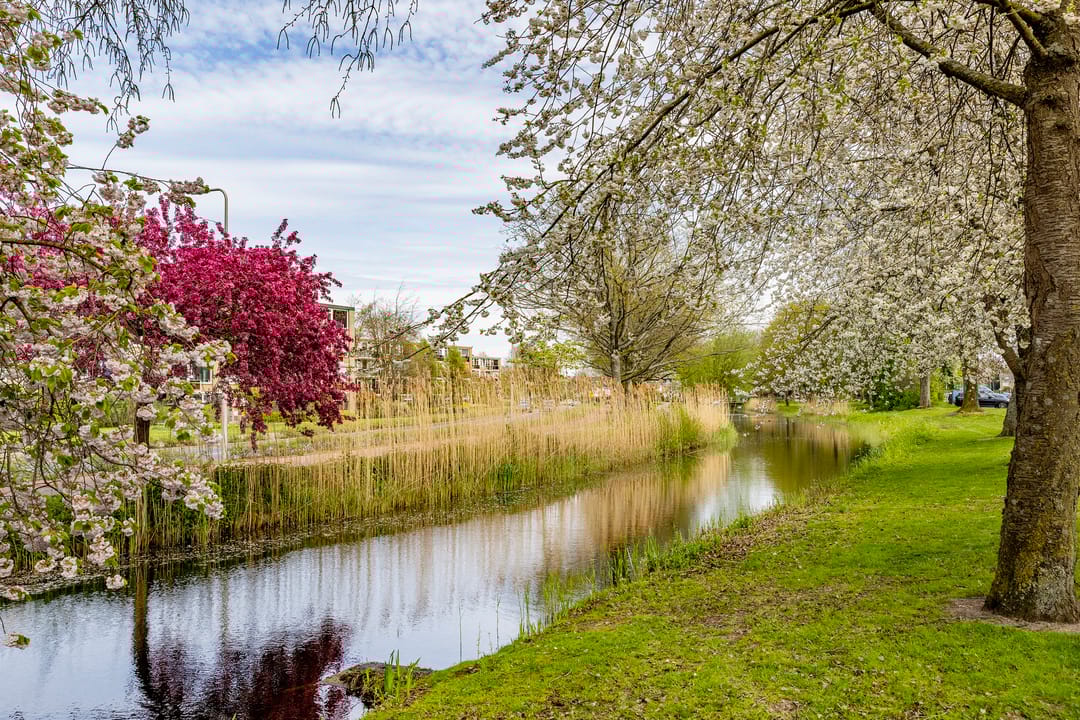 Foto 28 van A.M. de Jongstraat 249