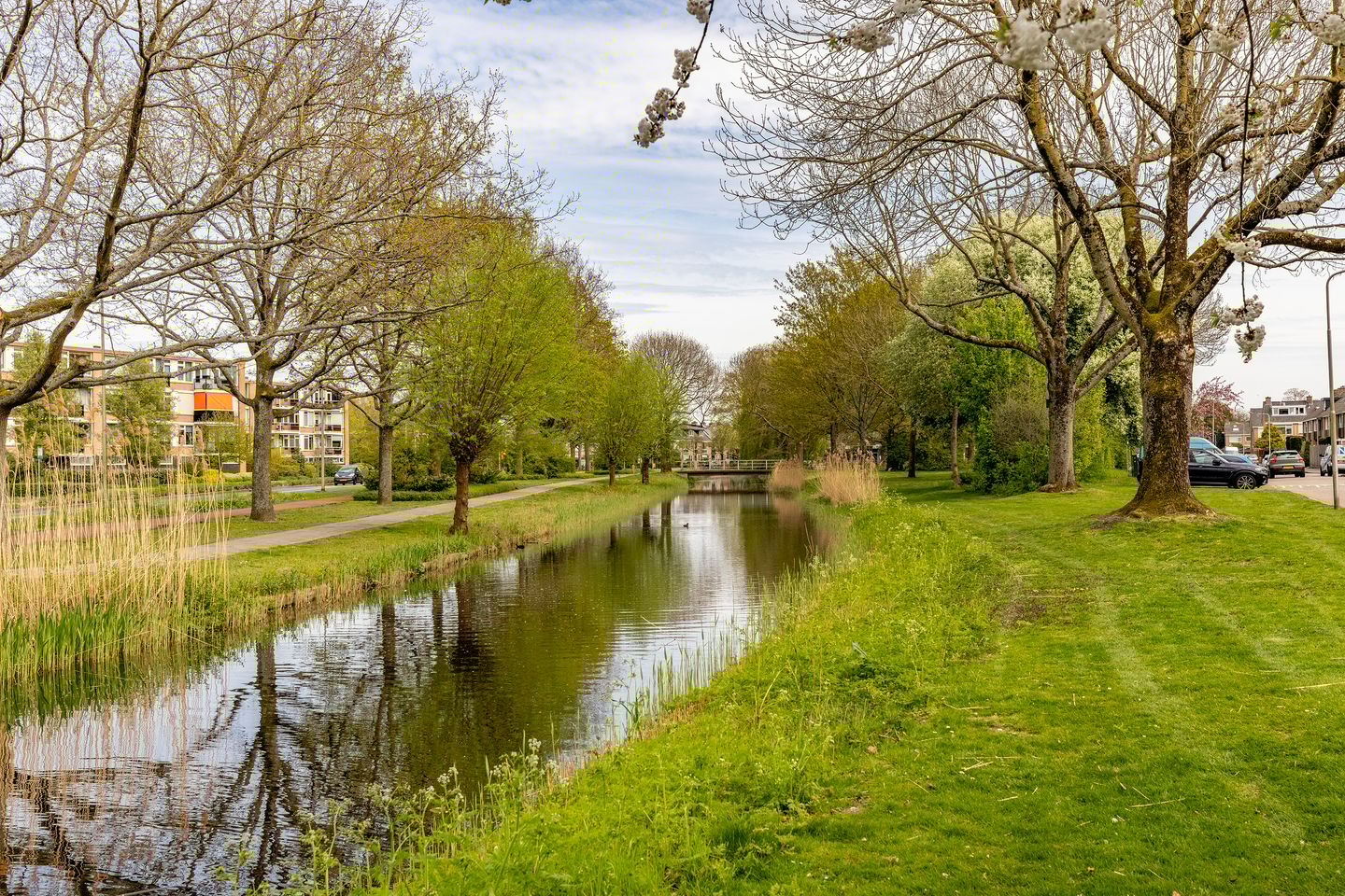 Foto 29 van A.M. de Jongstraat 249