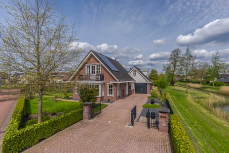 Paardenbloem thumbnail