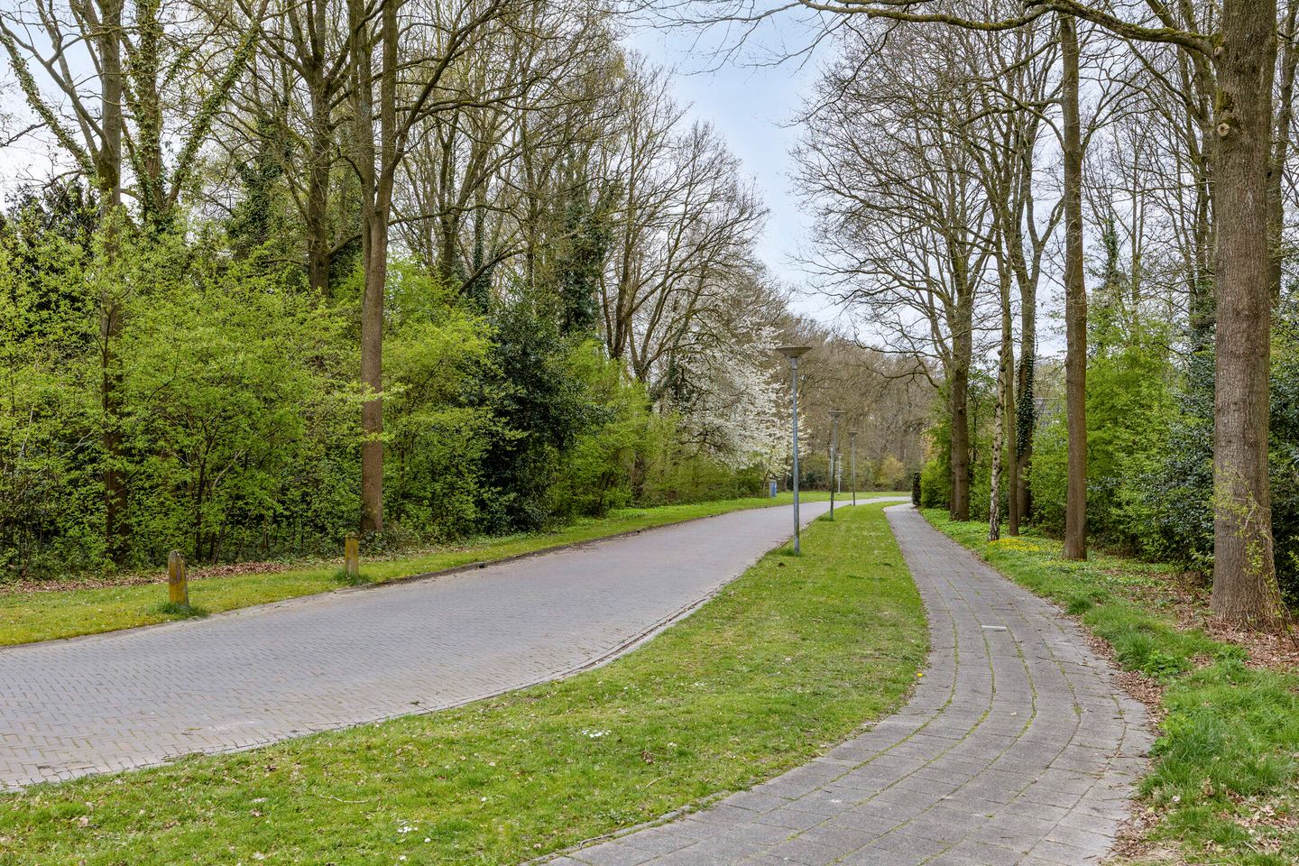 Foto 50 van Zaalstede 3