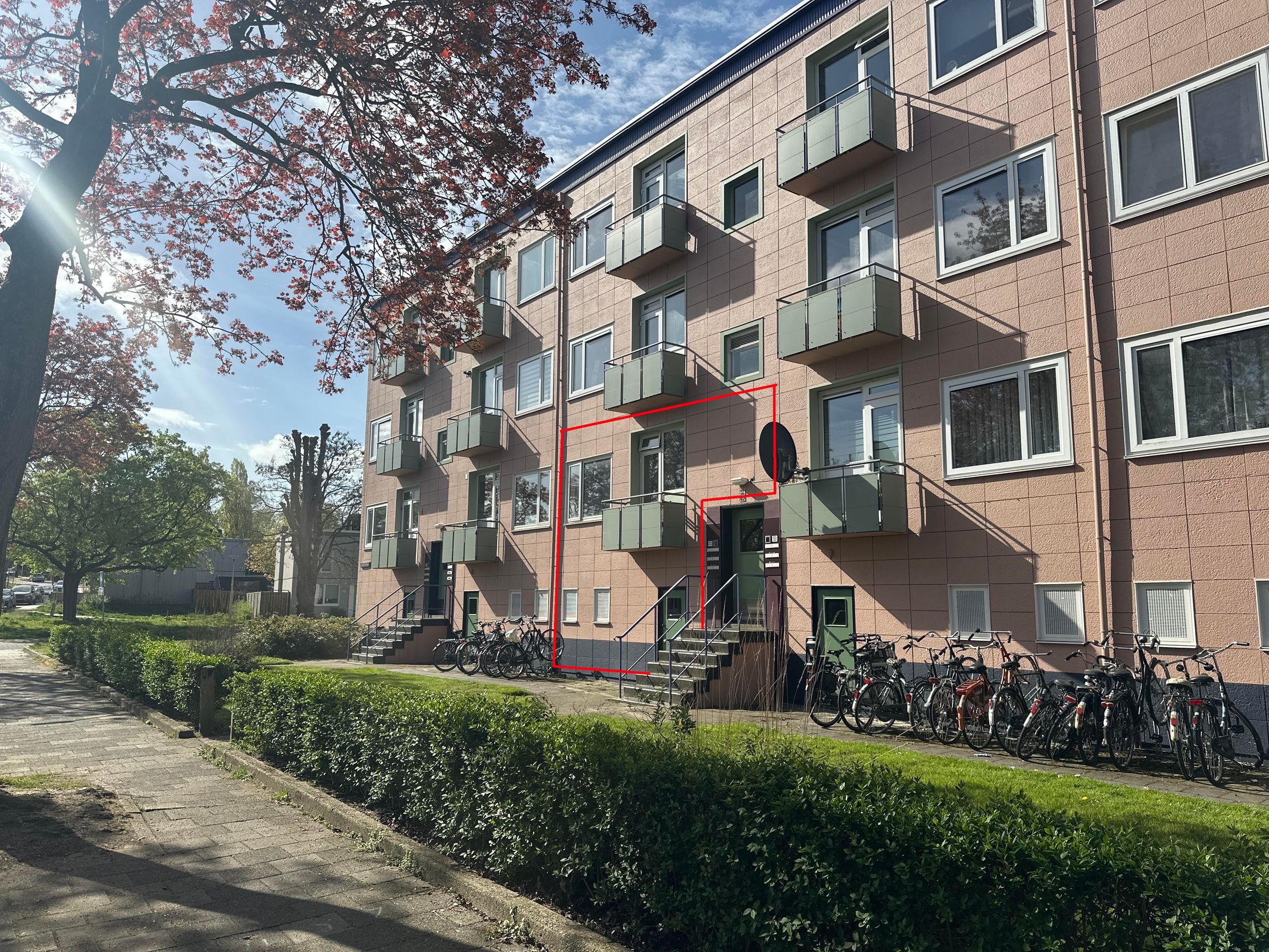 Ligusterstraat 37 