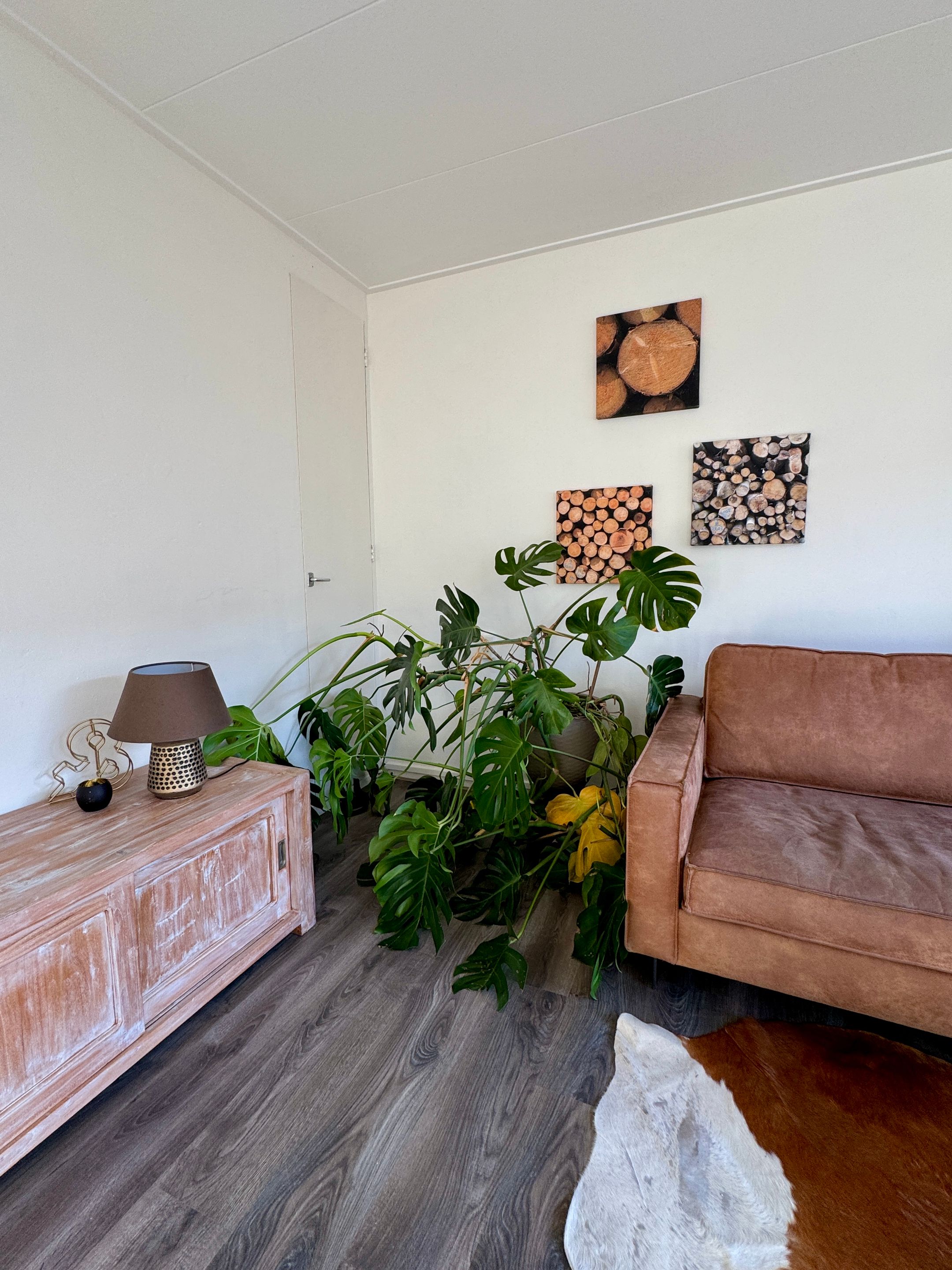 Photo 6 of Ligusterstraat 37