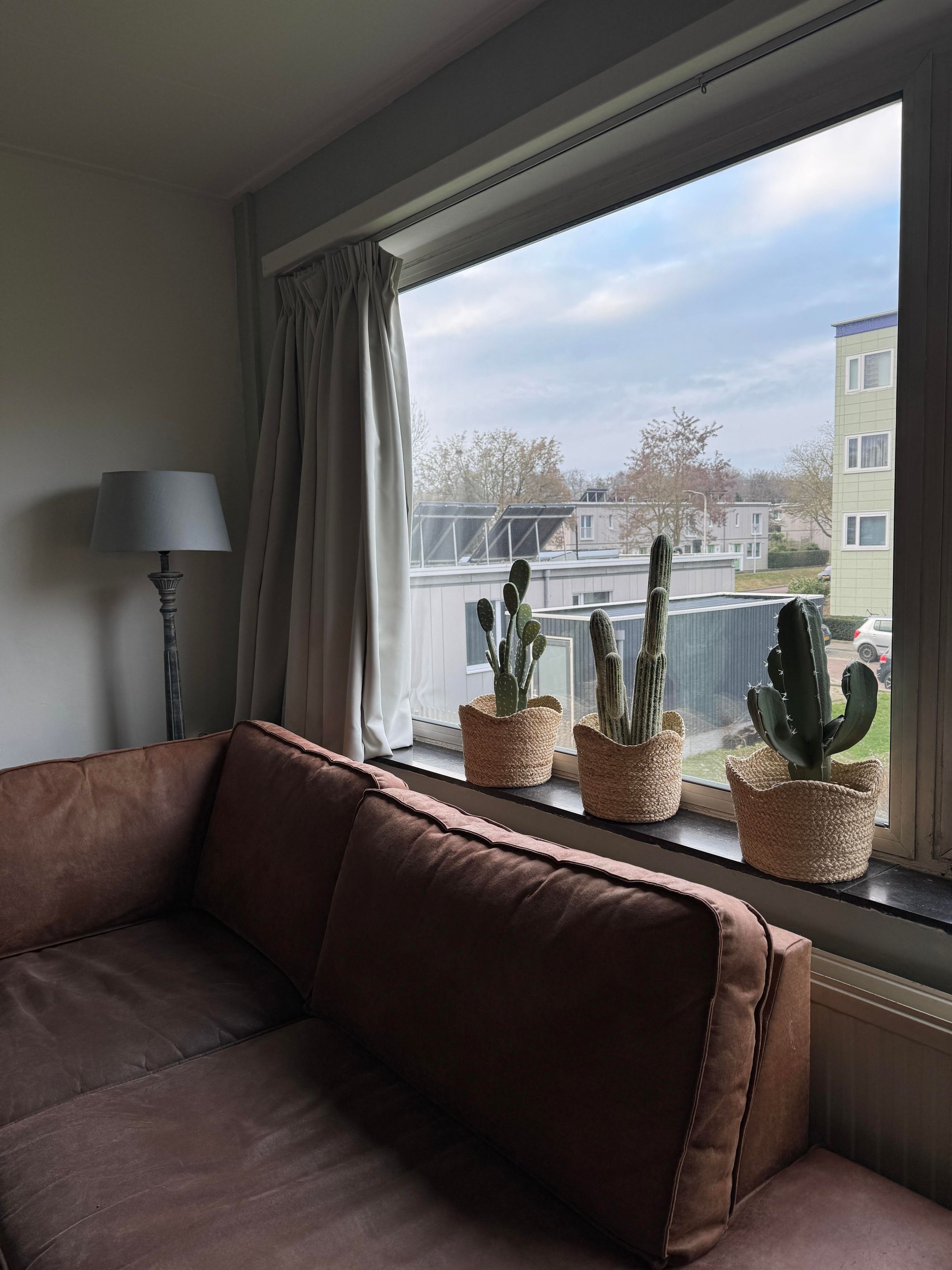 Photo 9 of Ligusterstraat 37