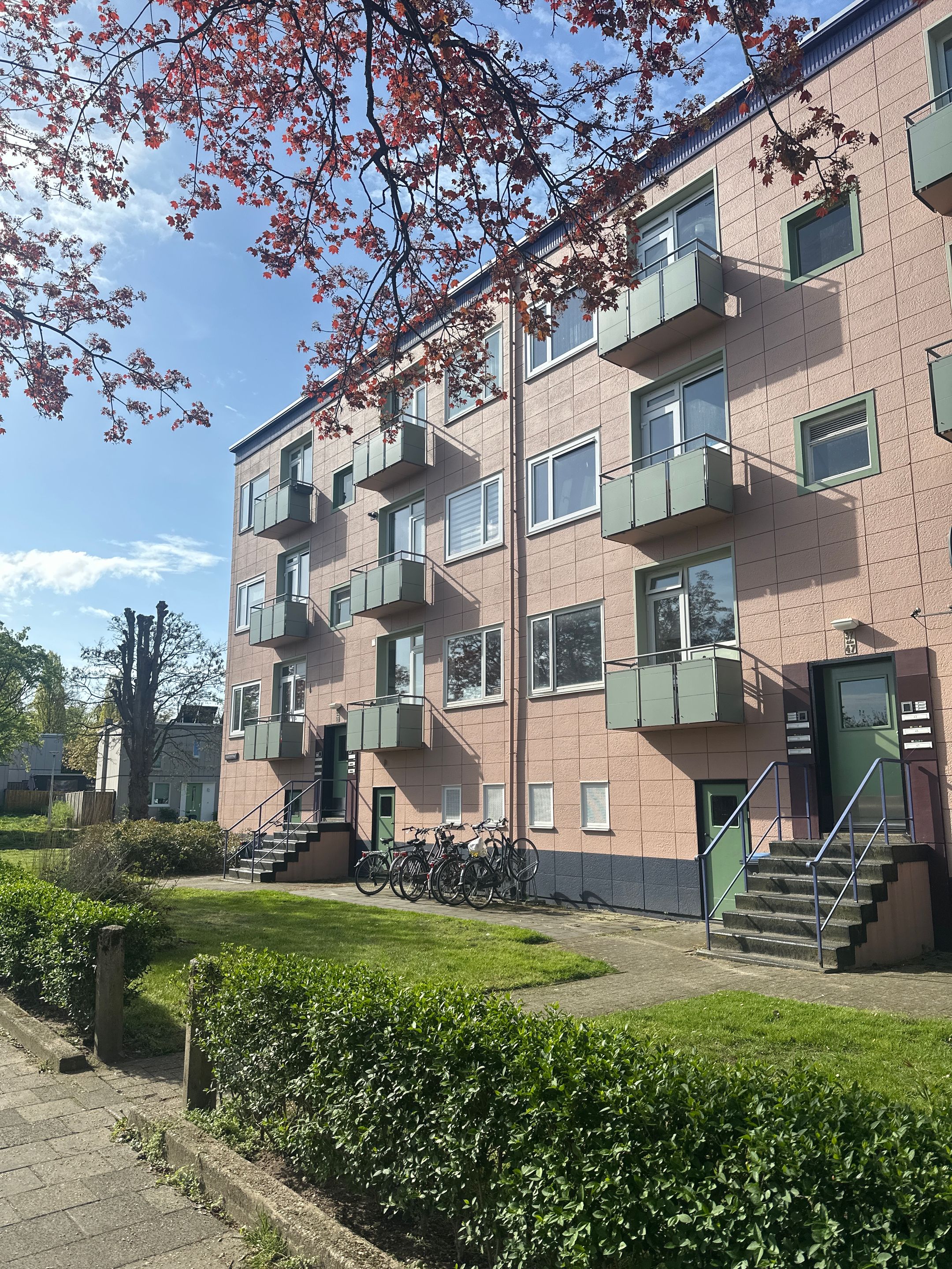 Photo 18 of Ligusterstraat 37