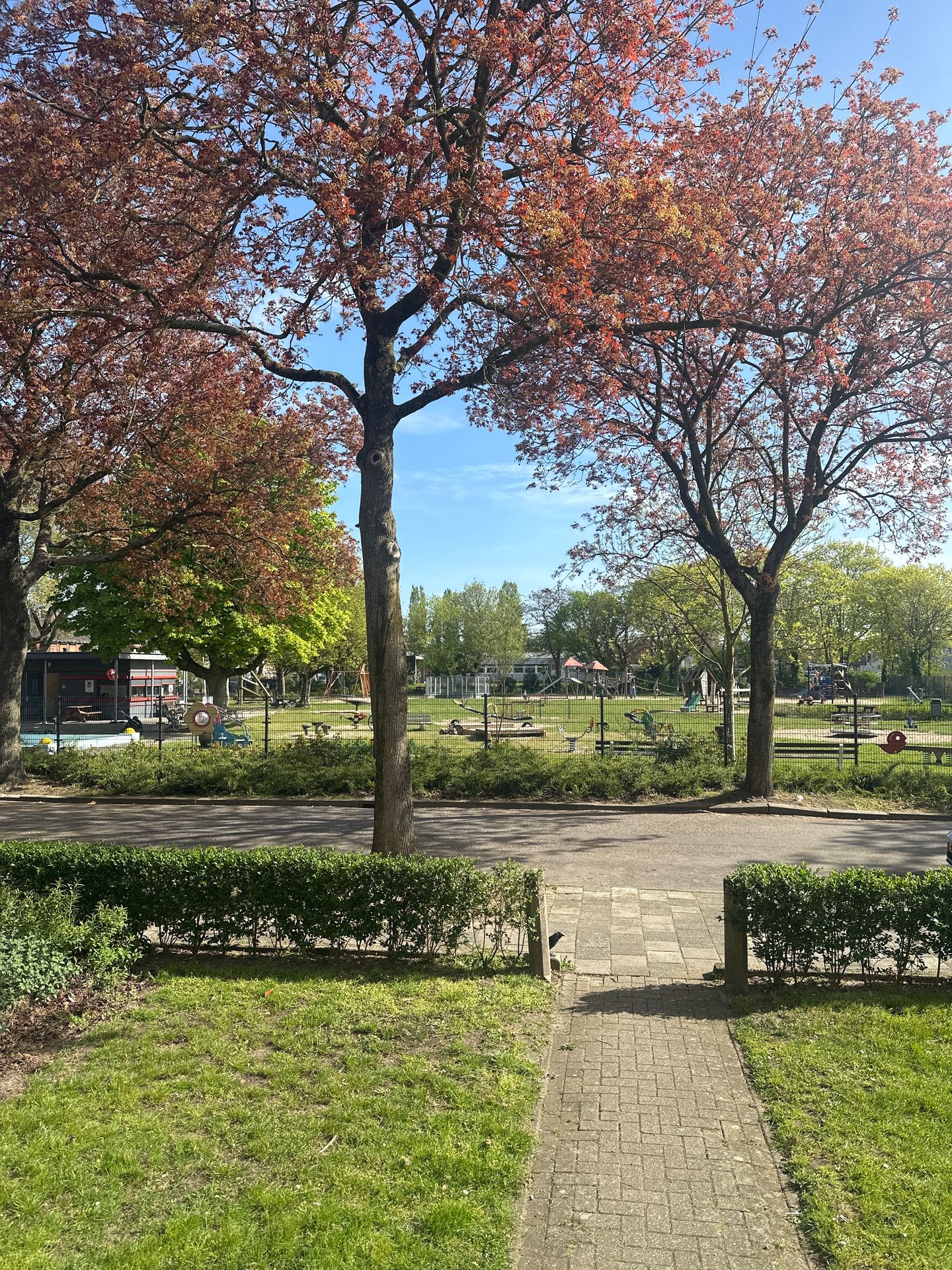 Photo 19 of Ligusterstraat 37