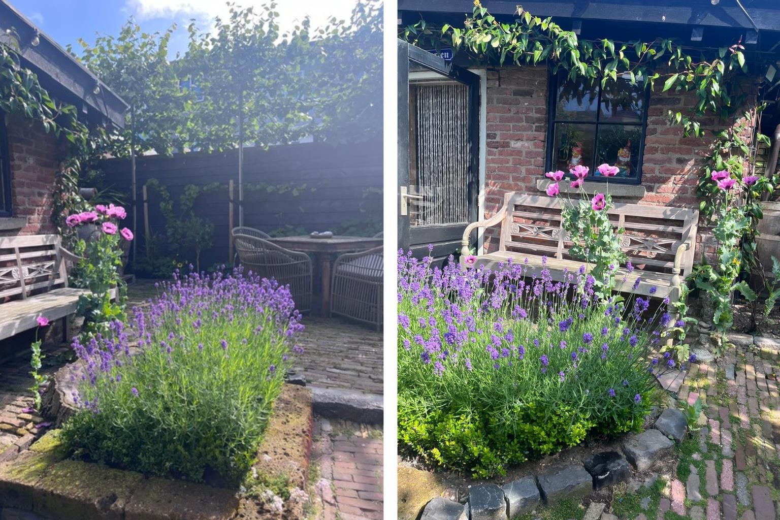 Foto 21 van Groot Nieuwland 45