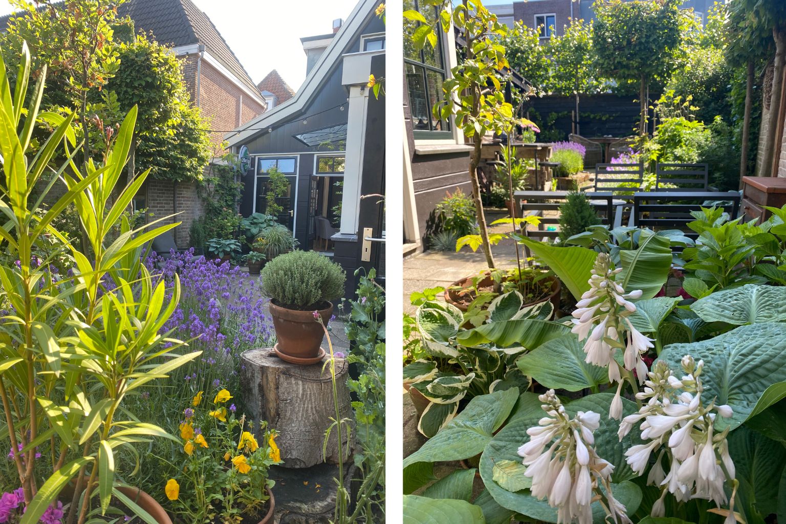 Foto 24 van Groot Nieuwland 45