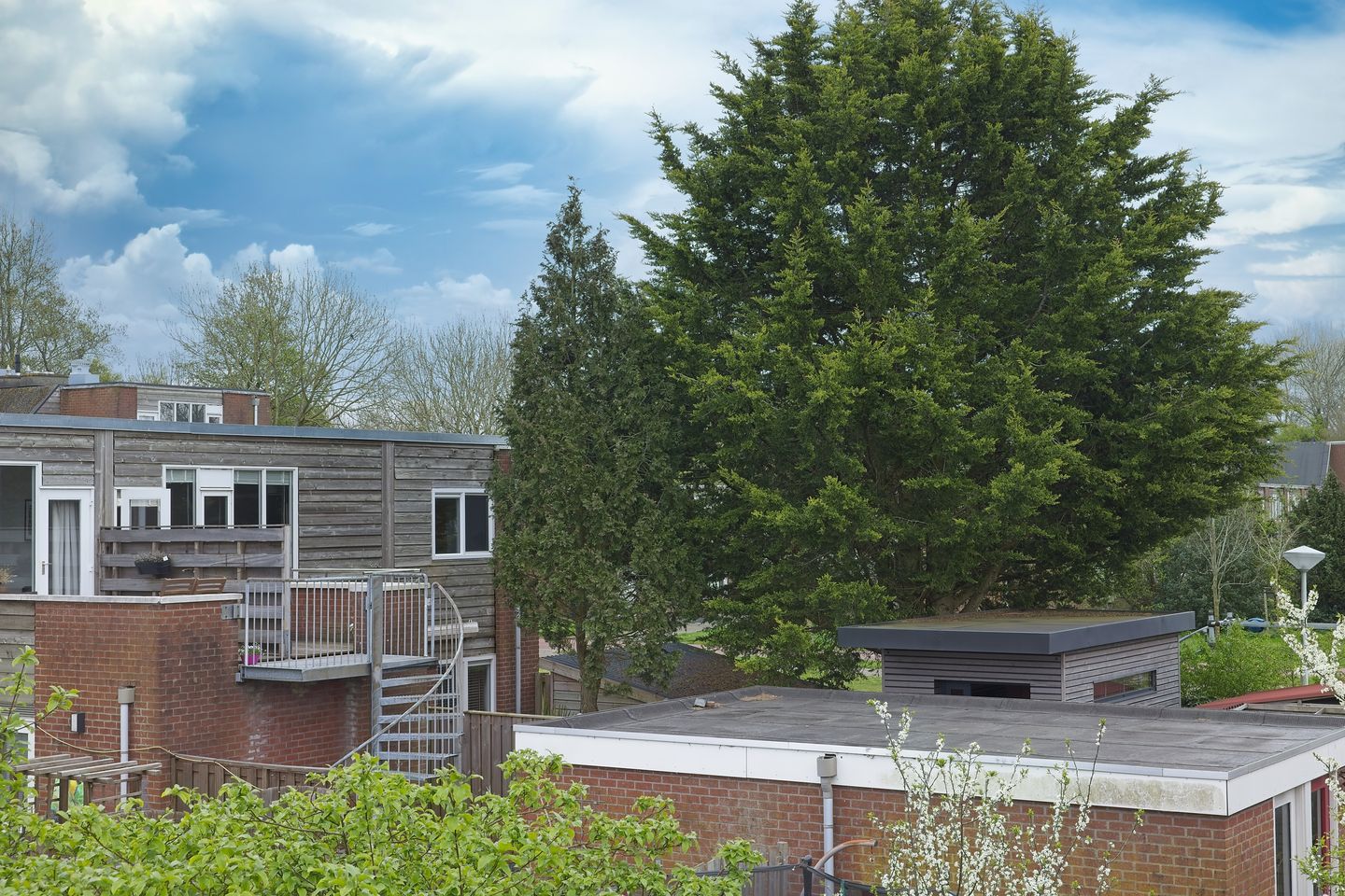 Foto 40 van Silvoldestraat 66