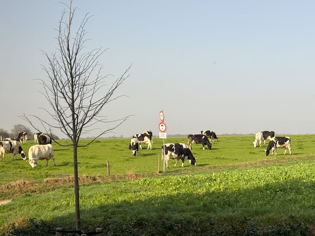 Foto 11 van Lanakerweg 8