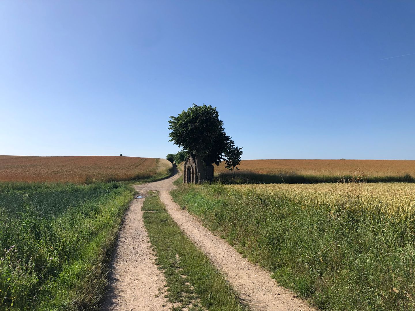 Foto 49 van Lanakerweg 8