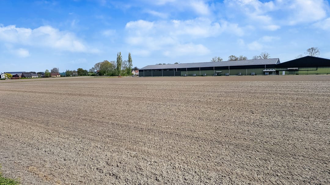 Photo 46 of Meester Molstraat 5