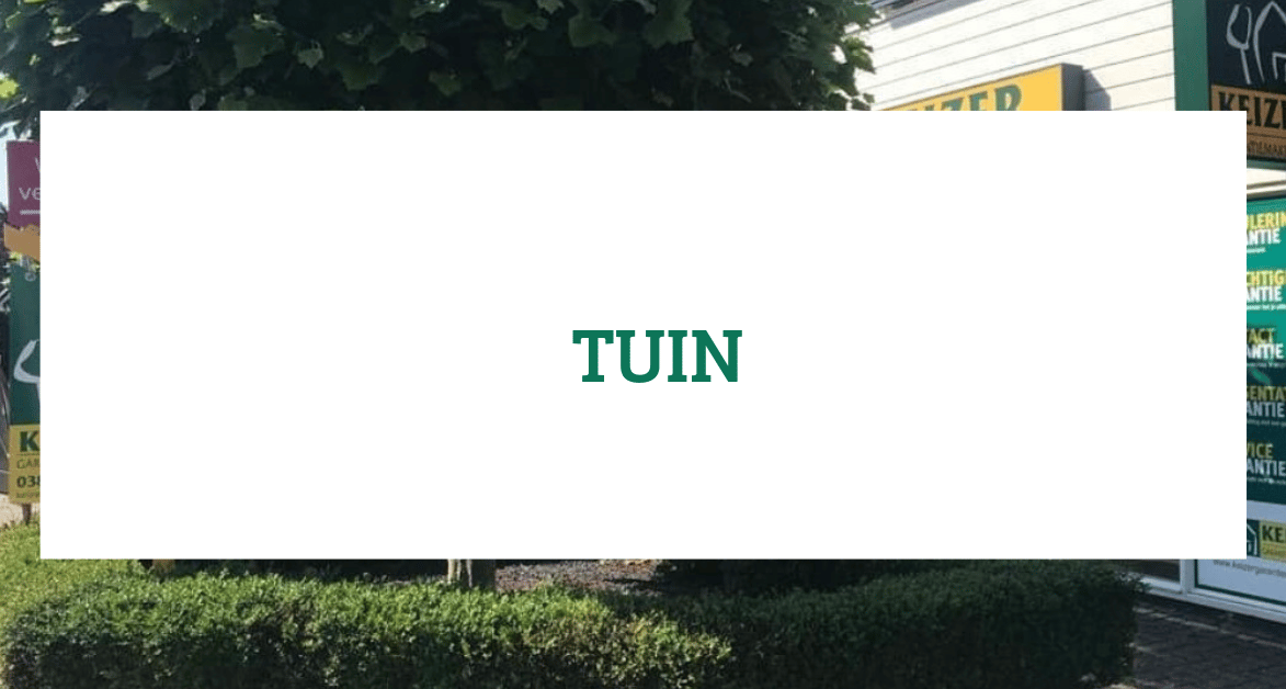 Foto 36 van Leeuwerikstraat 22