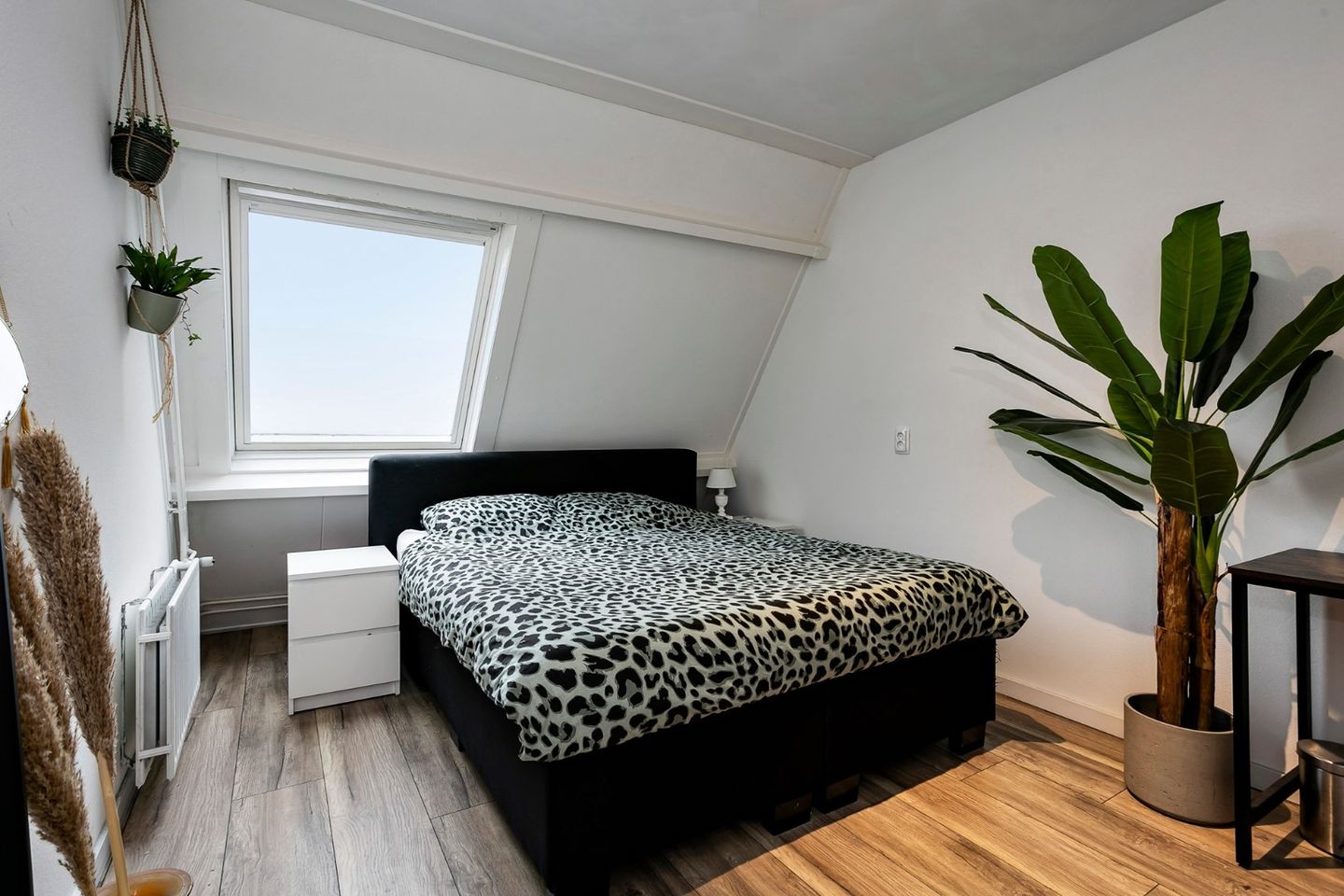 Foto 10 van Roptastate 192