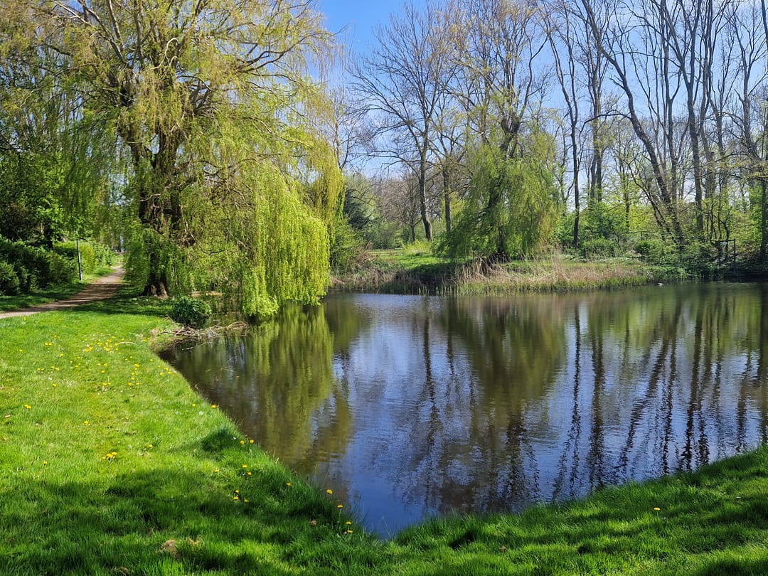 Photo 58 of Veilingweg 61