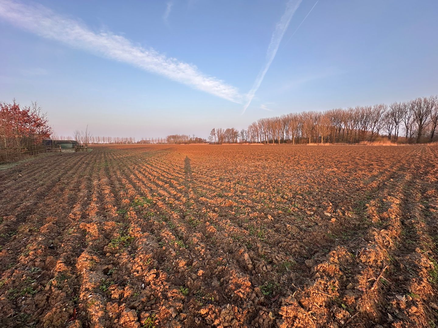 Bekijk foto 4 van Gemeent