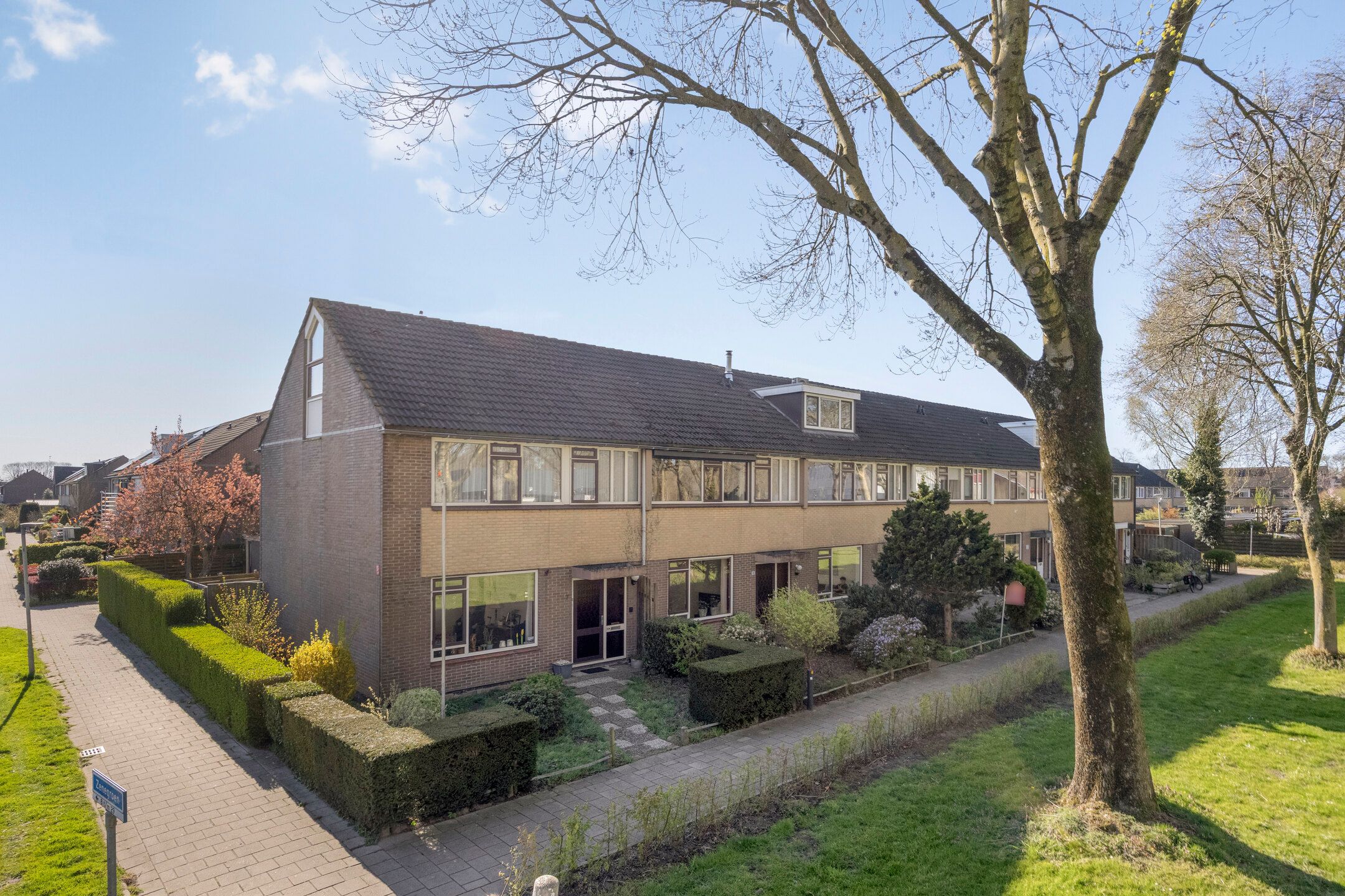 Zenegroen 6 