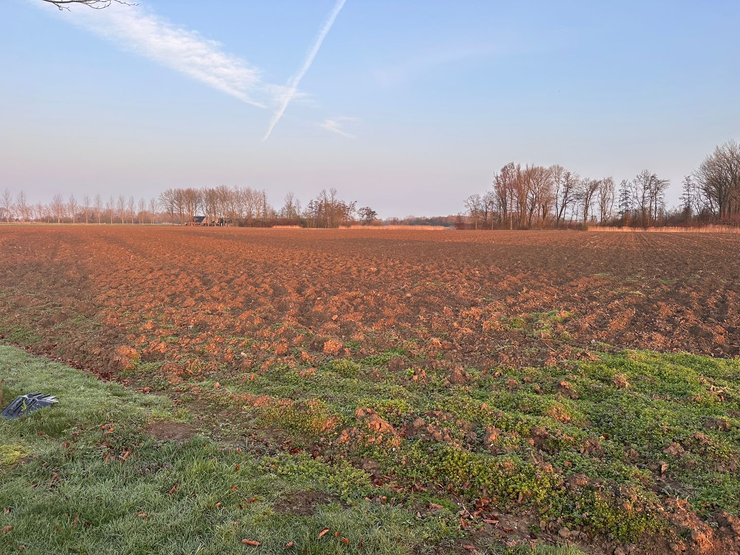 Gemeent - Delwijnen - Afbeelding 7