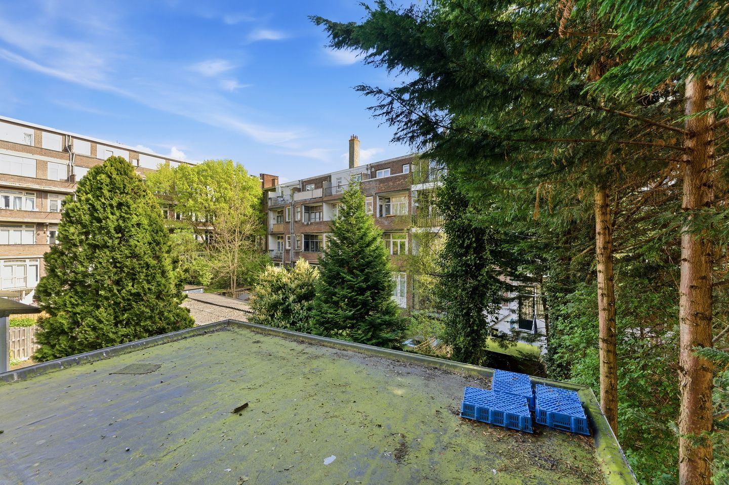 Foto 29 van Schieweg 115-B