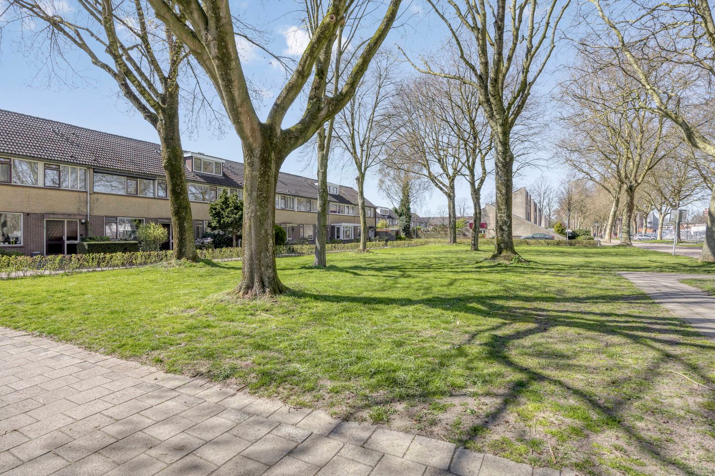 Photo 40 of Zenegroen 6
