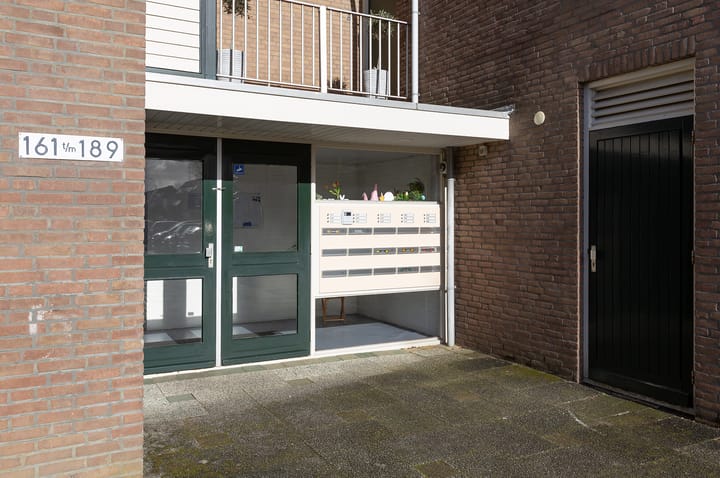 Photo 3 of Koraalzwam 167