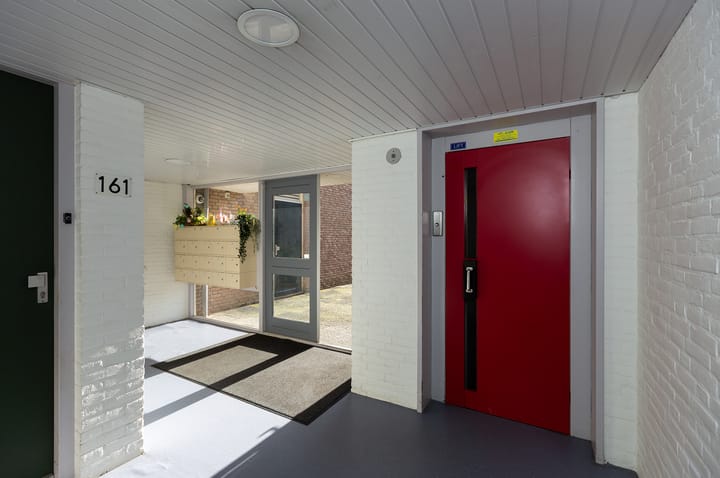 Photo 4 of Koraalzwam 167