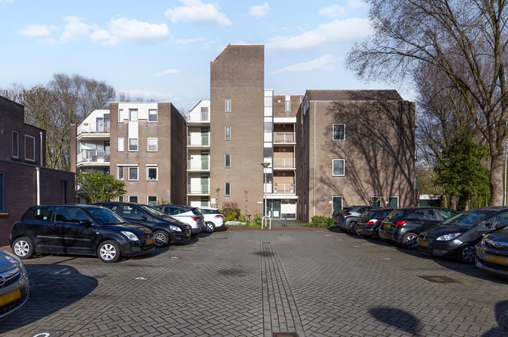 Photo 2 of Koraalzwam 167