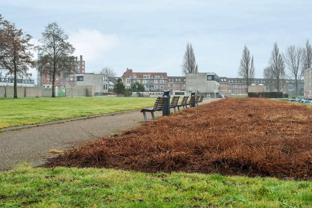 Photo 28 of Vlaskade 120