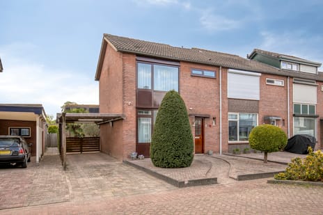 undefined main image