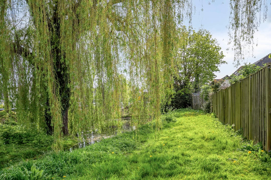 Foto 37 van Koningin Wilhelminalaan 19