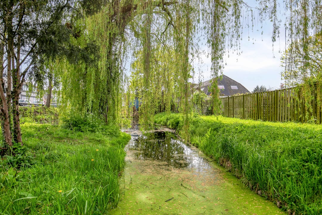 Foto 38 van Koningin Wilhelminalaan 19