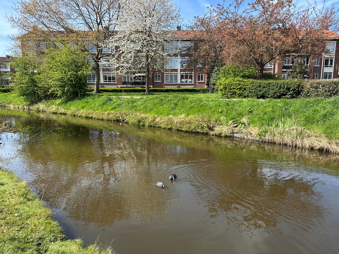 Photo 28 of Alberdingk Thijmkade 6