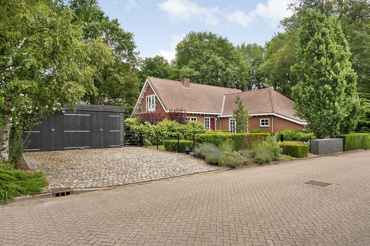 Photo 5 of De Omloop 8