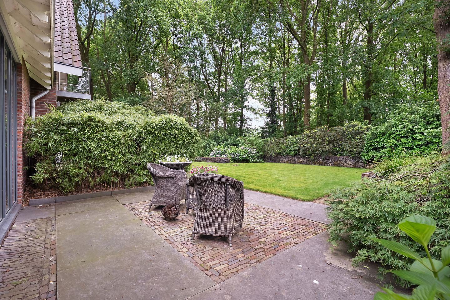 Photo 49 of De Omloop 8