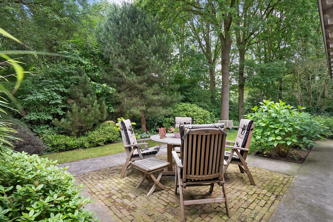 Photo 52 of De Omloop 8