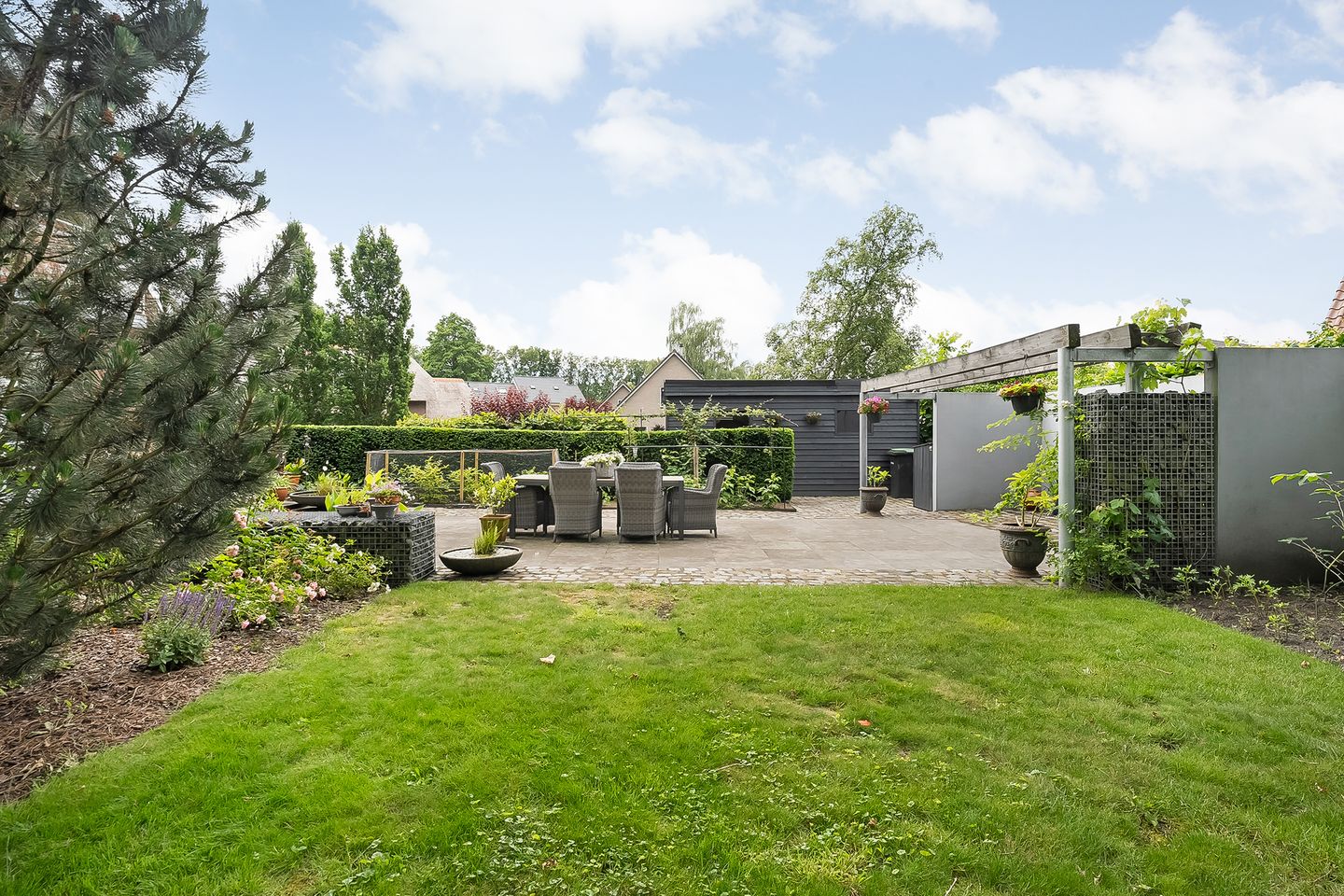 Photo 55 of De Omloop 8