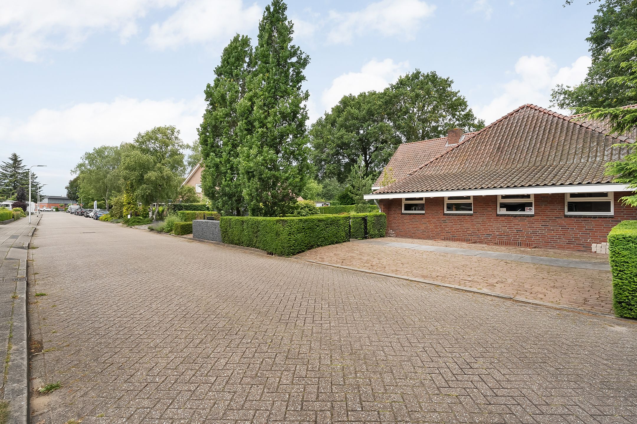 Photo 69 of De Omloop 8