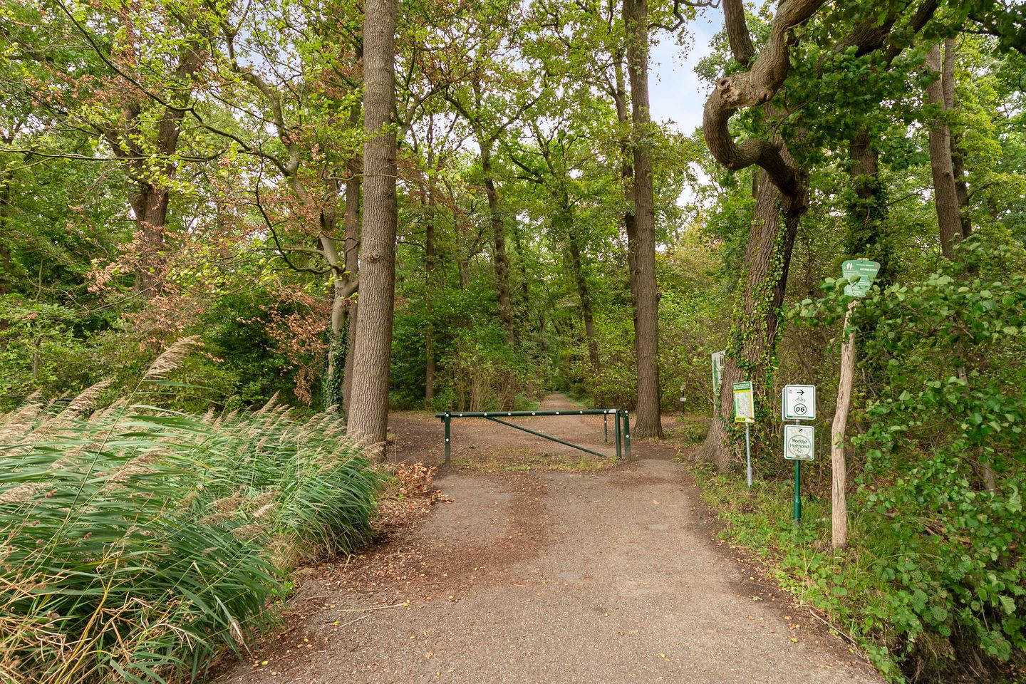 Photo 74 of Julianalaan 63