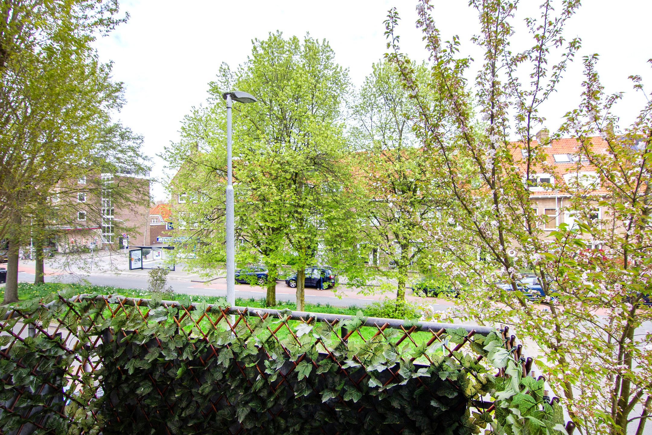 Foto 21 van Eksterlaan 124